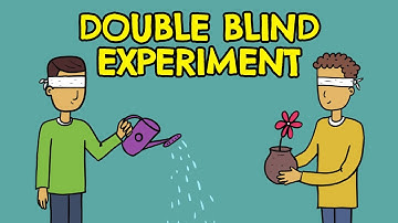 What is a Double Blind Study? (Definition + Examples)