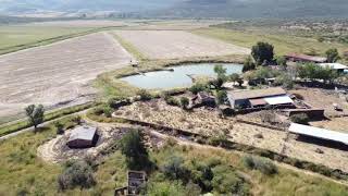 Venta de Rancho totalmente productivo Jalisco Guanajuato 1200 has