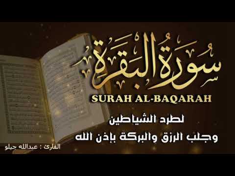 سورة البقرة قرآن كريم رقية شرعيه وتحصين المنزل وجلب البركة Surah Al Baqara 