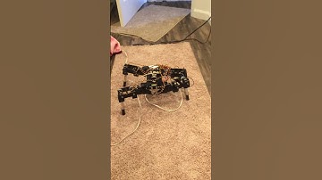 Walking robot gait test (two phase)