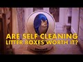 Are SELF CLEANING litter boxes WORTH IT?