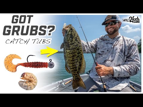 How to Fish Grubs for Smallmouth Bass in Clear Water 