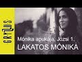 Mónika apukája, Józsi 1. (Romanimo)