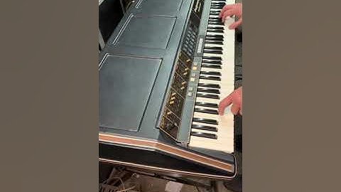 Polymoog 280