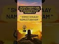 Shiva mantra to solve every issue shree shivaay namastubhyam ayushiastrologyshorts astrologer