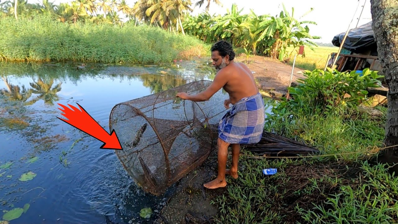 ഇതെന്താണ് മുതലയാണോ... ️ fish trap village fishing Kerala fishing
