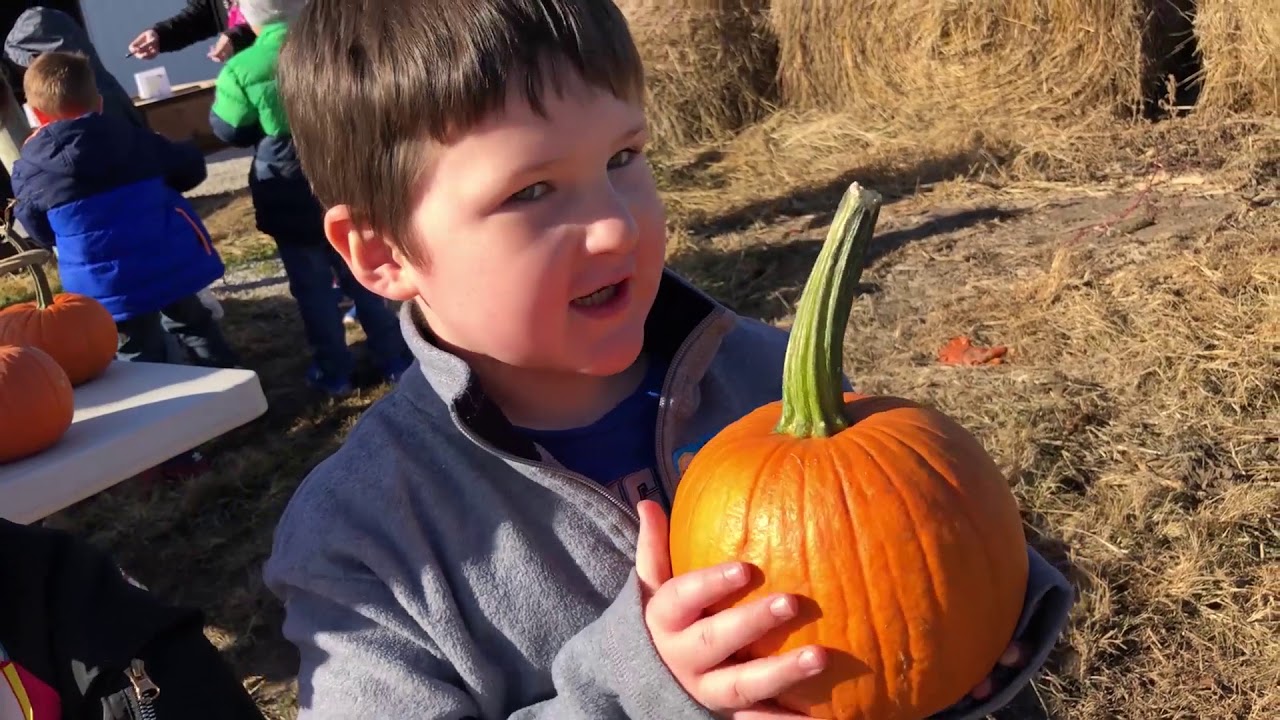 ISD Kinders Explore Drumm Farm YouTube
