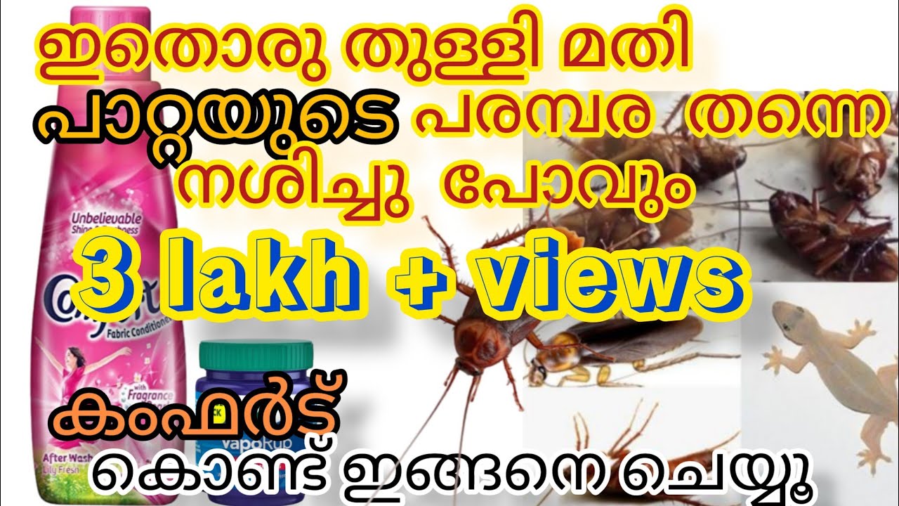 ഇതൊരു തുള്ളി മതി പാറ്റയെ പിന്നെ കാണാൻ കിട്ടില്ല /comfort കൊണ്ട് ഇങ്ങനെ ചെയ്‌തു നോക്കു| ummisvideo