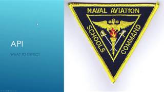 Navy API: What to Expect