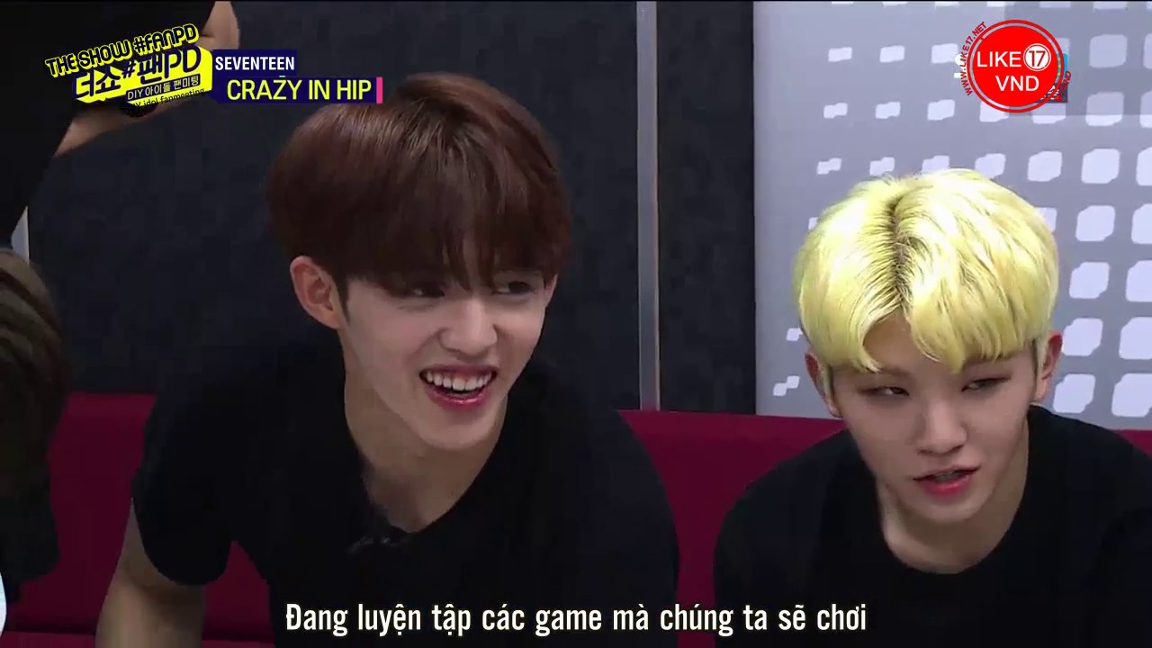 [Like17VND][Vietsub] SEVENTEEN - The Show Fan PD Fanmeeting Part 1