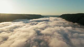 Sea Of Low Lying Clouds Covers The Mountains Valley   -  No Copyright Video