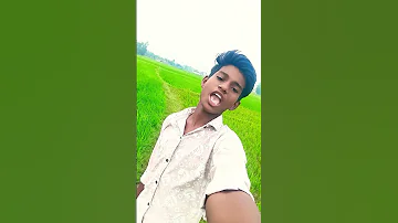 Shiv Ji Ke Chela Bhojpurisong Song Video Shortsfeed Youtubeshorts Viralvideo 