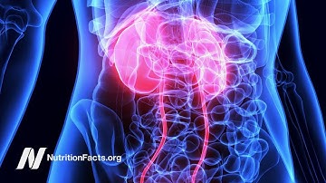 Lower Protein Diet Proven to Help Kidney Disease