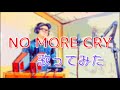 NO MORE CRY 歌ってみた
