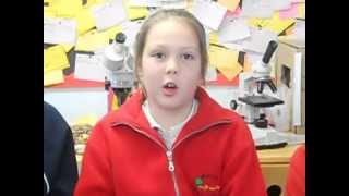 Jess, Fran And Chloe Give Tips For New Lab13 Committees