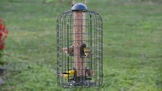 Squirrel-X™ Squirrel-Proof Caged Bird Feeder