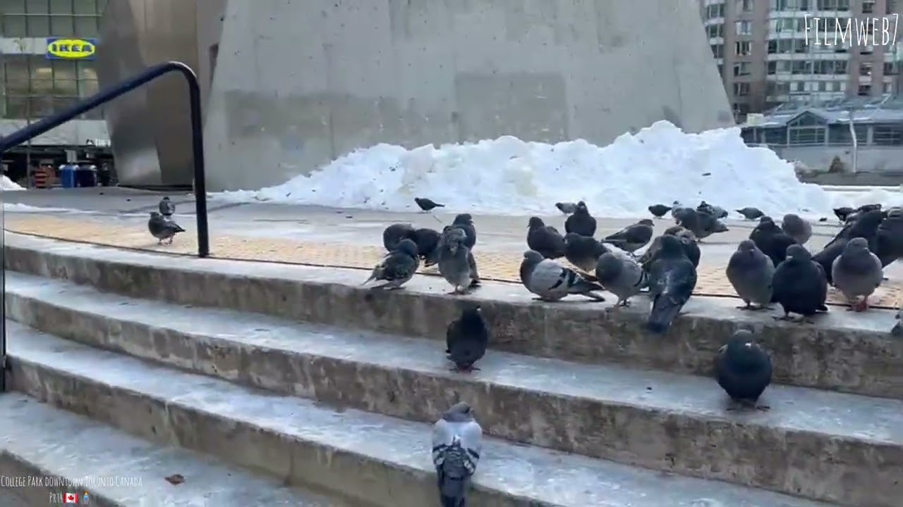 College Park downtown Toronto Canada (clip4) 