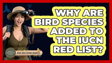 Why Are Bird Species Added To The IUCN Red List? - Bird Watching Diaries