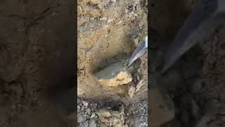 Opal mine in US #shorts
