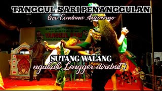 SUTANG WALANG gerakan elok lengger e sampe direbut 🤣 || Tanggulsari Penanggulan Live Cendana