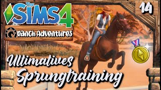 Die Straße des Erfolgs ? Die Sims 4 ? Ranch Adventures - Part 14