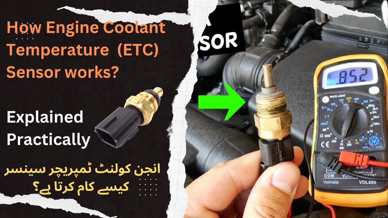 How Does The Engine Coolant Sensor Work at Jasper Saranealis blog
