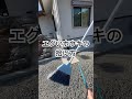 プロいホウキの拾い方としまい方です #shorts