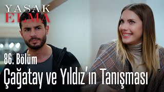 Yıldız ve Çağatay'ın tanışması - Yasak Elma 86. Bölüm