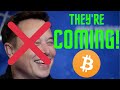 A WHALE NOT NAMED ELON MUSK BOUGHT 4.8 BILLION DOLLARS OF  BITCOIN | PRICE PREDICTION LOOKING STRONG