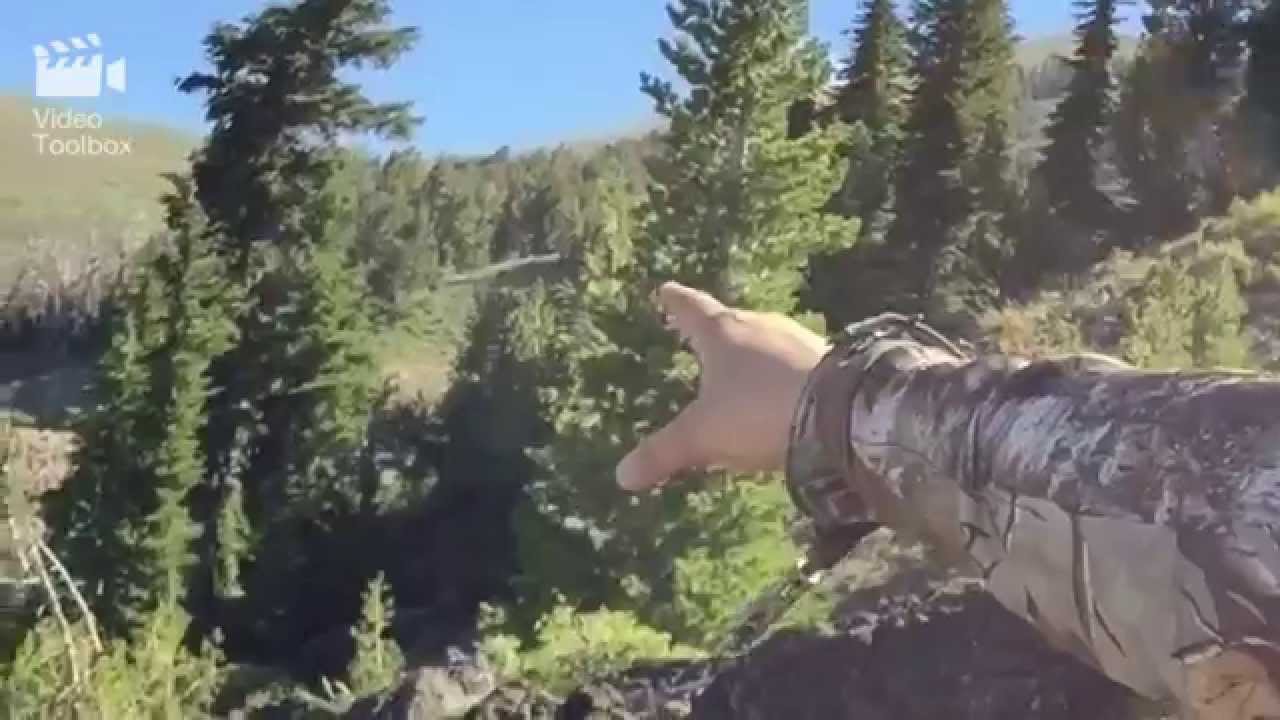 California deer hunt 2015 