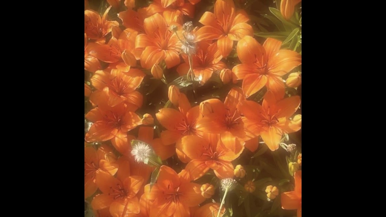 [free] indie pop x bedroom pop type beat - 