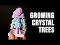 Growing crystal trees  national geographic crystal growing garden  newman diy