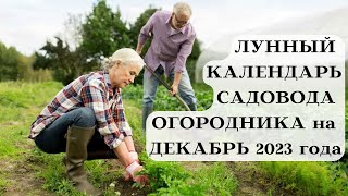 ЛУННЫЙ КАЛЕНДАРЬ САДОВОДА ОГОРОДНИКА - ДЕКАБРЬ 2023┃#луна #календарь #декабрь #2023 #сад #совет #топ