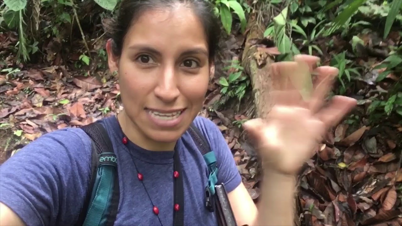 Un día en el campo | Costus