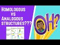 Understanding Homologous and Analogous Structures
