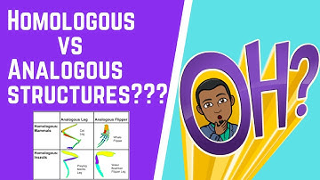 Homologous vs. Analogous Structures 101