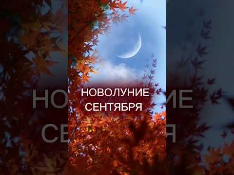 Секреты НОВОЛУНИЯ⤵️| Нейрографика с Оксаной Авдеевой