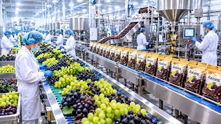 Watch How Millions of Grapes Become Raisins in a Modern Factory 🍇🏭 | Satisfying Process