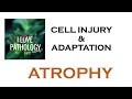 CELL INJURY & ADAPTATIONS PATHOLOGY: ATROPHY