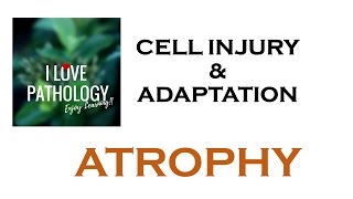 CELL INJURY & ADAPTATIONS PATHOLOGY: ATROPHY