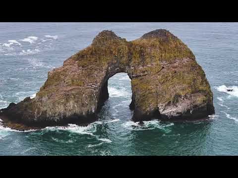 9350 Whiskey Creek Rd, Tillamook, OR home video tour