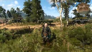 The Witcher 3 PC Reshade SweetFX  TEST 2 GTX 980 1080p
