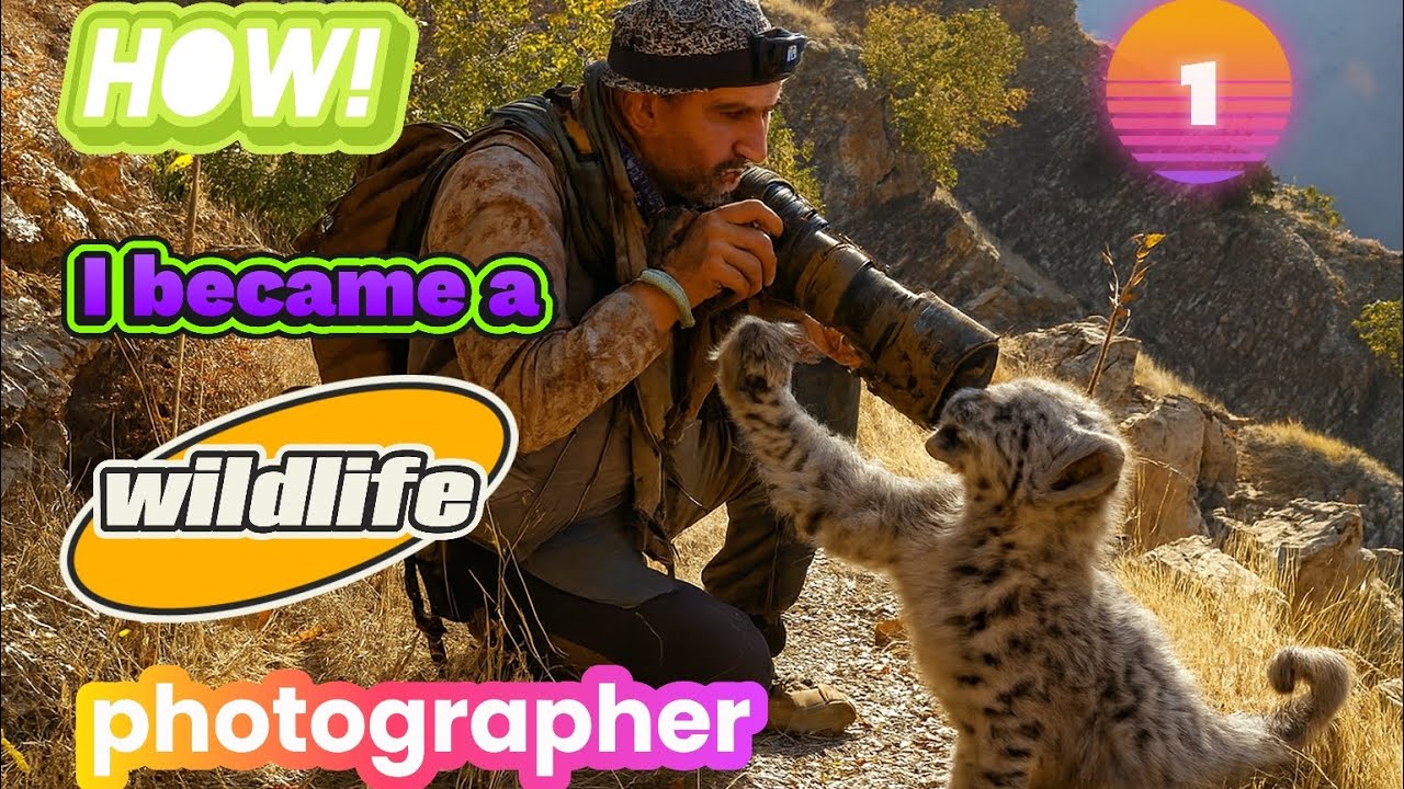 Narrative of documenting and photographing wildlife, centered in Paveh County, for the first time