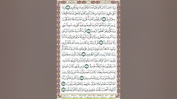 سورة اﻷحقاف/الغامدي/503