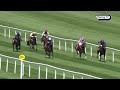 Expensive purchase Conficius impresses at Naas | Full Race | 2026 | Racing TV