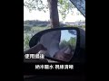 汽車玻璃保養防雨劑 product youtube thumbnail