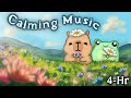 Autism Calming Music 💛 Piano, Nature Sounds &amp; Relaxing Visuals for Anxiety Relief