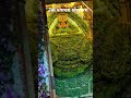 jai shree shyam#trendingshorts #viralvideo #exploremore #fyp #like