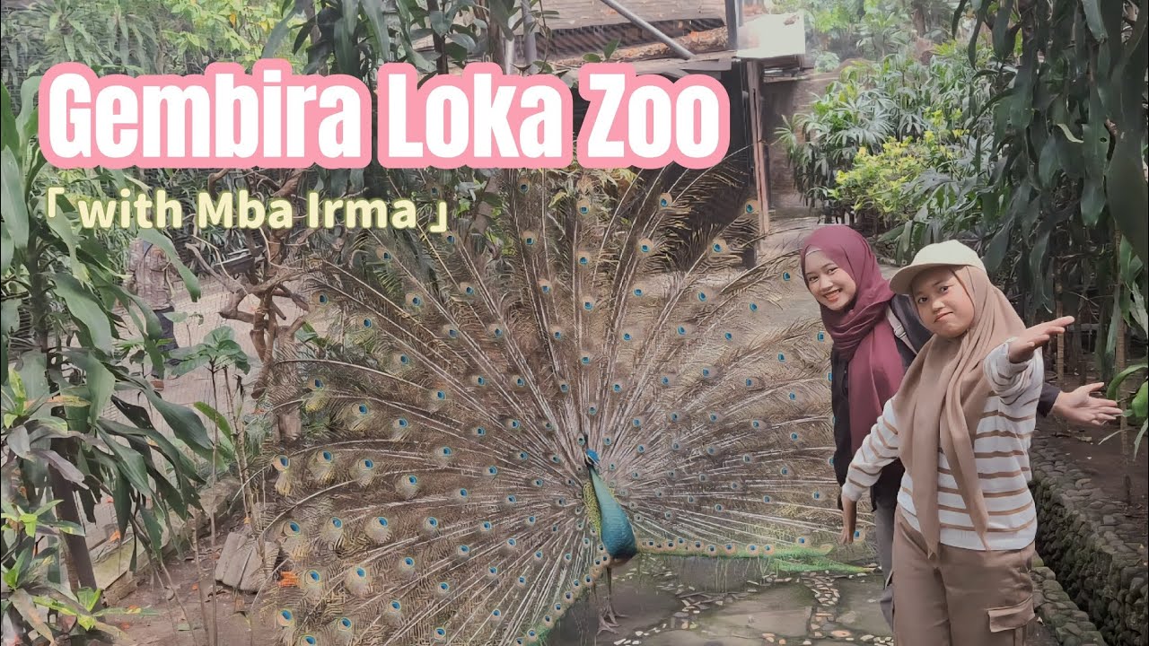Zoo Date sama kamu kapann??😚