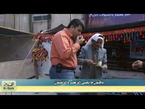 باقون ما بقي الزعتر والزيتون   